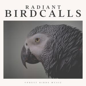 Radiant Birdcalls - Life Sounds Nature