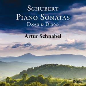 Schanbel plays Schubert - Franz Schubert