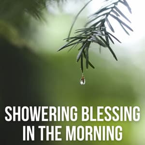 Showering Blessing in the Morning - Sounds of Nature Relaxation