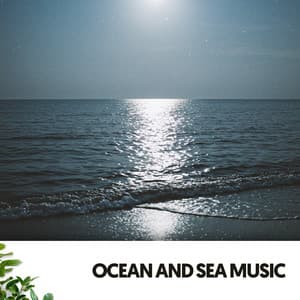 Ocean and Sea Music: Serenata nocturna - Cat Music