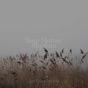 Sleep Nature Rhythms - Thunderstorm Sound Bank