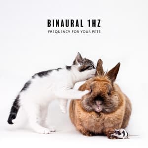 Binaural 1Hz Frequency for Your Pets - Brain Waves Therapy