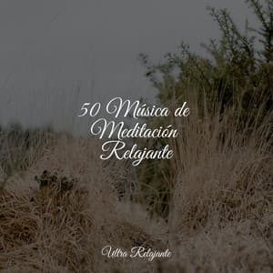 50 Música de Meditación Relajante - Dormir e Meditar