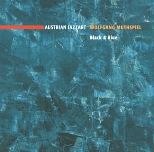 Black & Blue - Wolfgang Muthspiel
