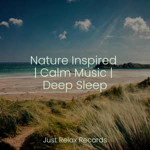 Nature Inspired | Calm Music | Deep Sleep - Sonidos De Lluvia y Tormentas