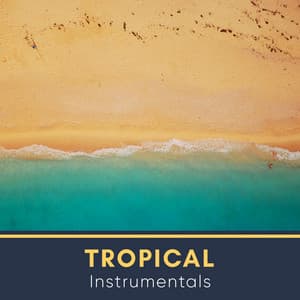 2019 Tropical Instrumentals - Palm Analogue