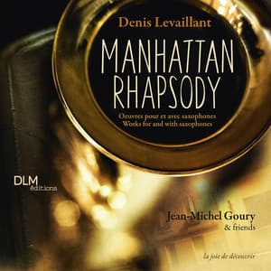 Manhattan Rhapsody - Denis Levaillant