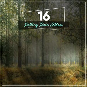 20 Rolling Rain Sounds to Calm the Mind - Nature Sounds XLE Library