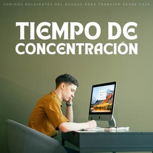 Tiempo De Concentración: Sonidos Relajantes Del Bosque Para Trabajar Desde Casa - Ayuda de concentración