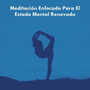 Meditación Enfocada Para El Estado Mental Renovado - Drones Congelados