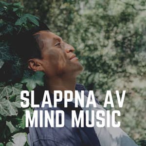 Slappna Av Mind Music - Avslappnande Meditation Akademi