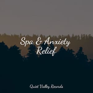 Spa & Anxiety Relief - Meditation Awareness