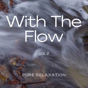 1 With The Flow Vol. 2 - Relaxing Nature Recordings
