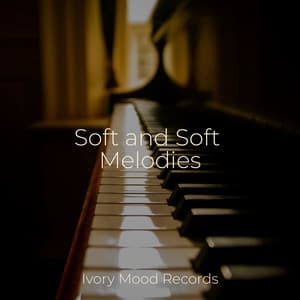 Soft and Soft Melodies - Ivory Mood