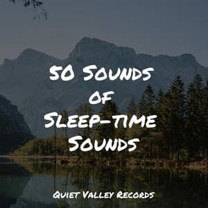 50 Sounds of Sleep-time Sounds - Regen