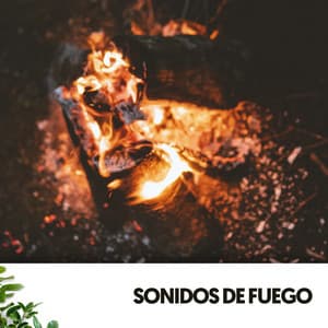Sonidos de Fuego: Melodías ardientes en la noche - Ruido Blanco Hart