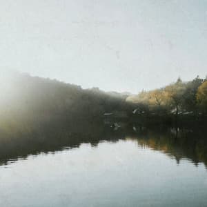 Relaxed in Classical Harmony - Johann Sebastian Bach