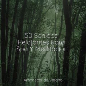 50 Sonidos Relajantes Para Spa Y Meditación - Rumbas de España