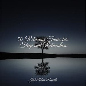 50 Relaxing Tunes for Sleep and Relaxation - Mantra para Dormir