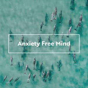 Anxiety Free Mind: Piano & Dolphin Sounds for Stress Free Day - Exotic Nature Kingdom