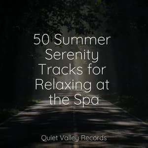 50 Summer Serenity Tracks for Relaxing at the Spa - Relaxamento