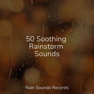 50 Soothing Rainstorm Sounds - Calming Sounds