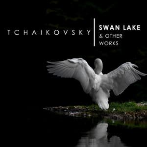 'Swan Lake' and other works by Tchaikovsky - Pyotr Ilyich Tchaikovsky