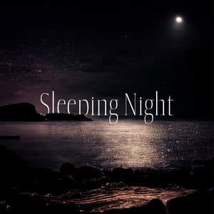 Sleeping Night: Midnight Lullabies, Dissolve into Sleep, Deep Rest Bedtime - Headache Relief Unit