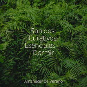 Sonidos Curativos Esenciales | Dormir - Música para Correr