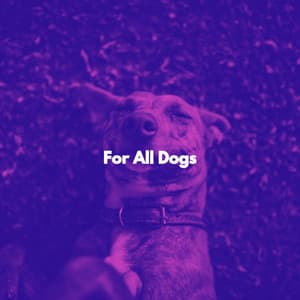 For All Dogs - Jazz Lounge Bar Ambiance