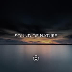 Sound Of Nature - ASMR