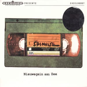 Nieuwegein Aan Zee - Spinvis