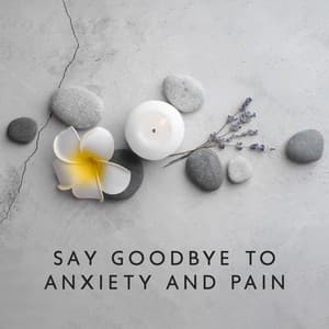 Say Goodbye to Anxiety and Pain - Unforgettable Paradise SPA Music Academy