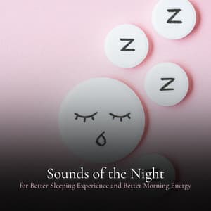 Sounds of the Night for Better Sleeping Experience and Better Morning Energy - Calm Music for Sleeping