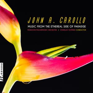 John A. Carollo: Music from the Ethereal Side of Paradise - John A. Carollo