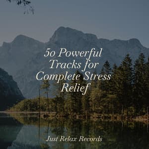 50 Powerful Tracks for Complete Stress Relief - Lucid Dreaming World-Collective Unconscious Mind