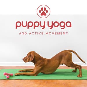 Puppy Yoga and Active Movement - Namaste Healing Yoga