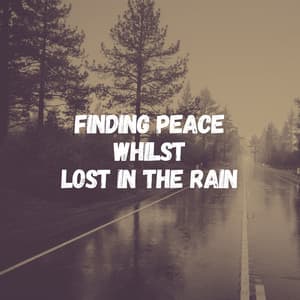 Finding Peace Whilst Lost in the Rain - Rain Storm Sample Library