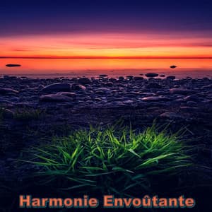 Harmonie envoûtante - My Beats The Rap
