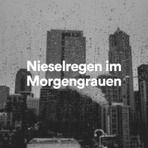 Nieselregen im Morgengrauen - Regen zum Schlafen