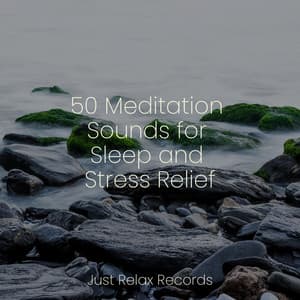 50 Meditation Sounds for Sleep and Stress Relief - Exam Study Classical Music
