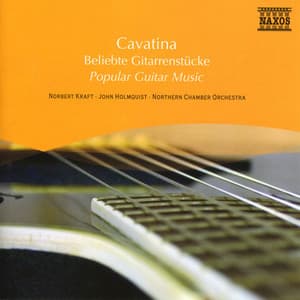 Popular Guitar Music - Norbert Kraft