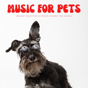 Music For Pets: The Best Selection Of Water Sounds For Animals - Happy Playlisted Music
