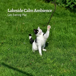 Lakeside Calm Ambience: Cats Evening Play - Water Sounds