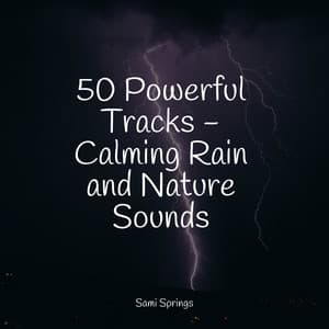 50 Powerful Tracks - Calming Rain and Nature Sounds - Music to Relax in Free Time