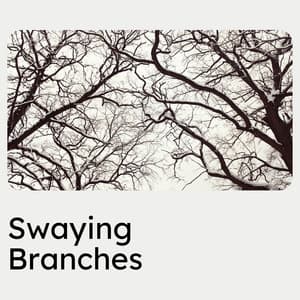 Swaying Branches - Nature Ambience