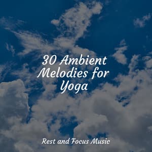 30 Ambient Melodies for Yoga - Echoes Of Nature