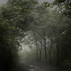 RuidoBrancoChuva - Ruído Branco