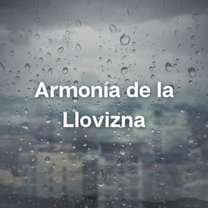 Armonía de la Llovizna - Entrenamiento Autògeno y Meditación Specialistas