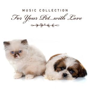 Music Collection For Your Pet.. with Love. Soothing Sounds of Nature for Stress Relief, Calmness, Sleep - Animal Melody Wizard